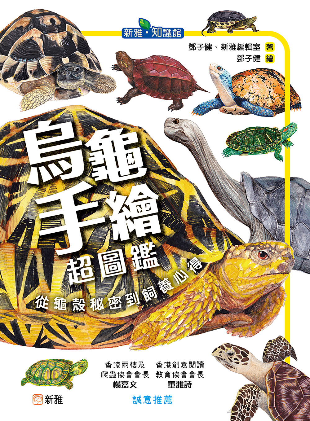 烏龜手繪超圖鑑：從龜殼秘密到飼養心得